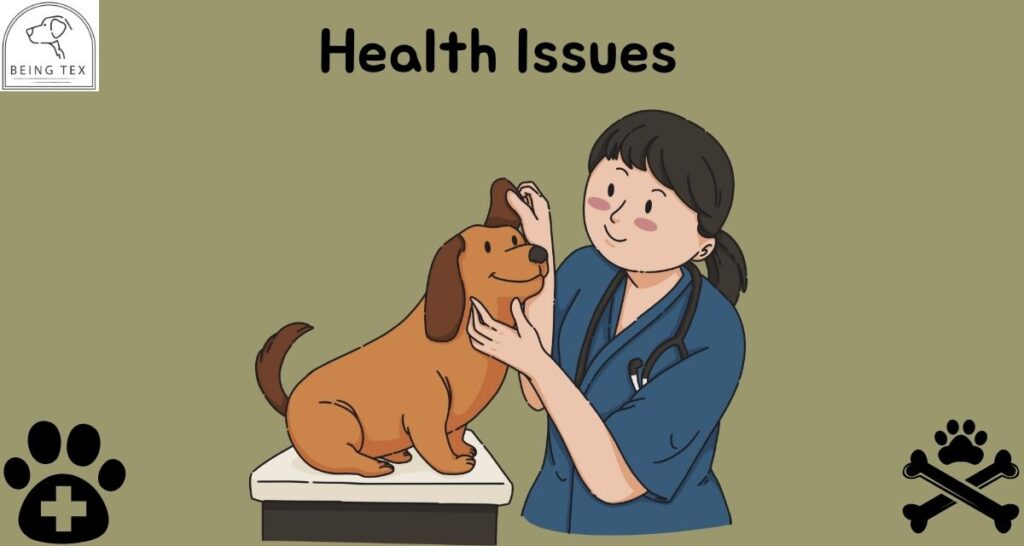 Health issues of dog