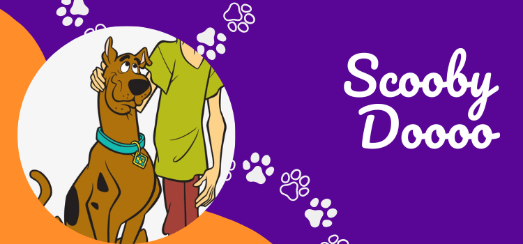 scooby doo dog cartoon image