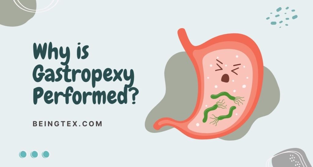 Stomach photo with a text why is gastropexy performed