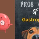 pros and cons of gastropexy