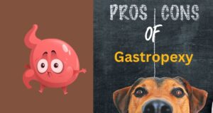pros and cons of gastropexy