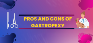What is Gastropexy in Dogs? Pros and Cons of Gastropexy