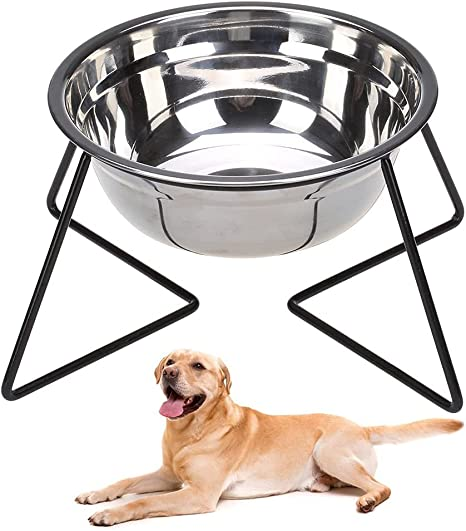 Dog with stainless steel bowl